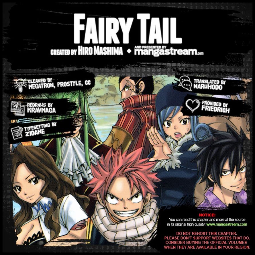 Fairy Tail Chapter 265 21